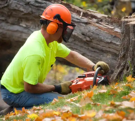 tree services Raytown